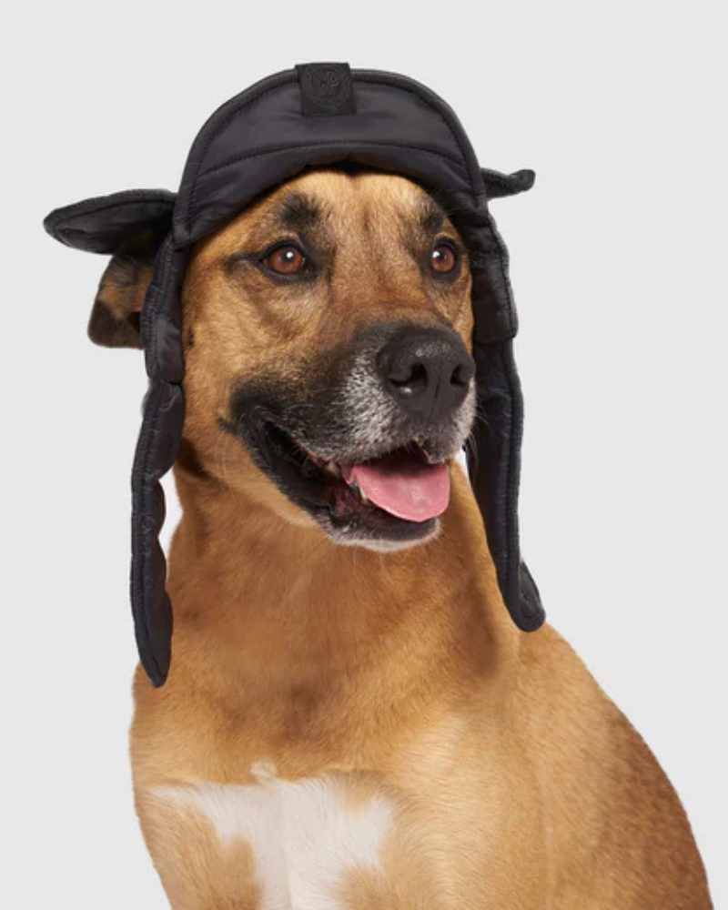 Faux-Down Dog Puffer Hat