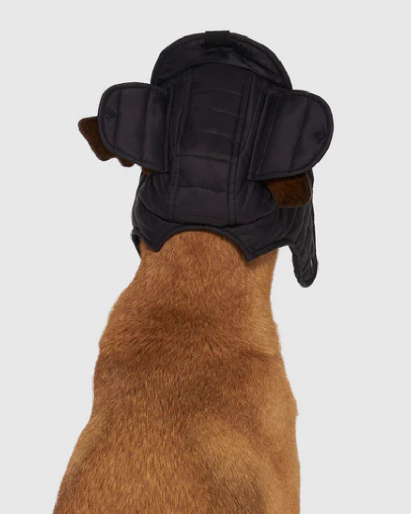 Faux-Down Dog Puffer Hat