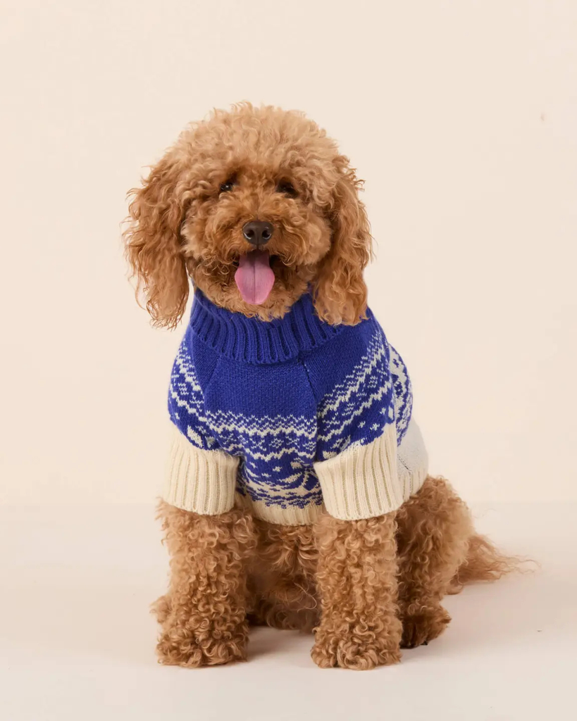 Snow Day Fair Isle Dog Sweater